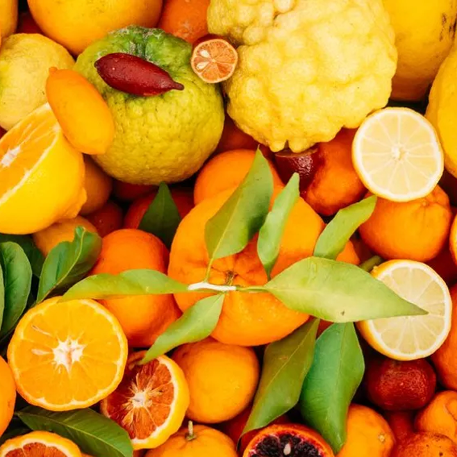 Fizzy Peachtree Image